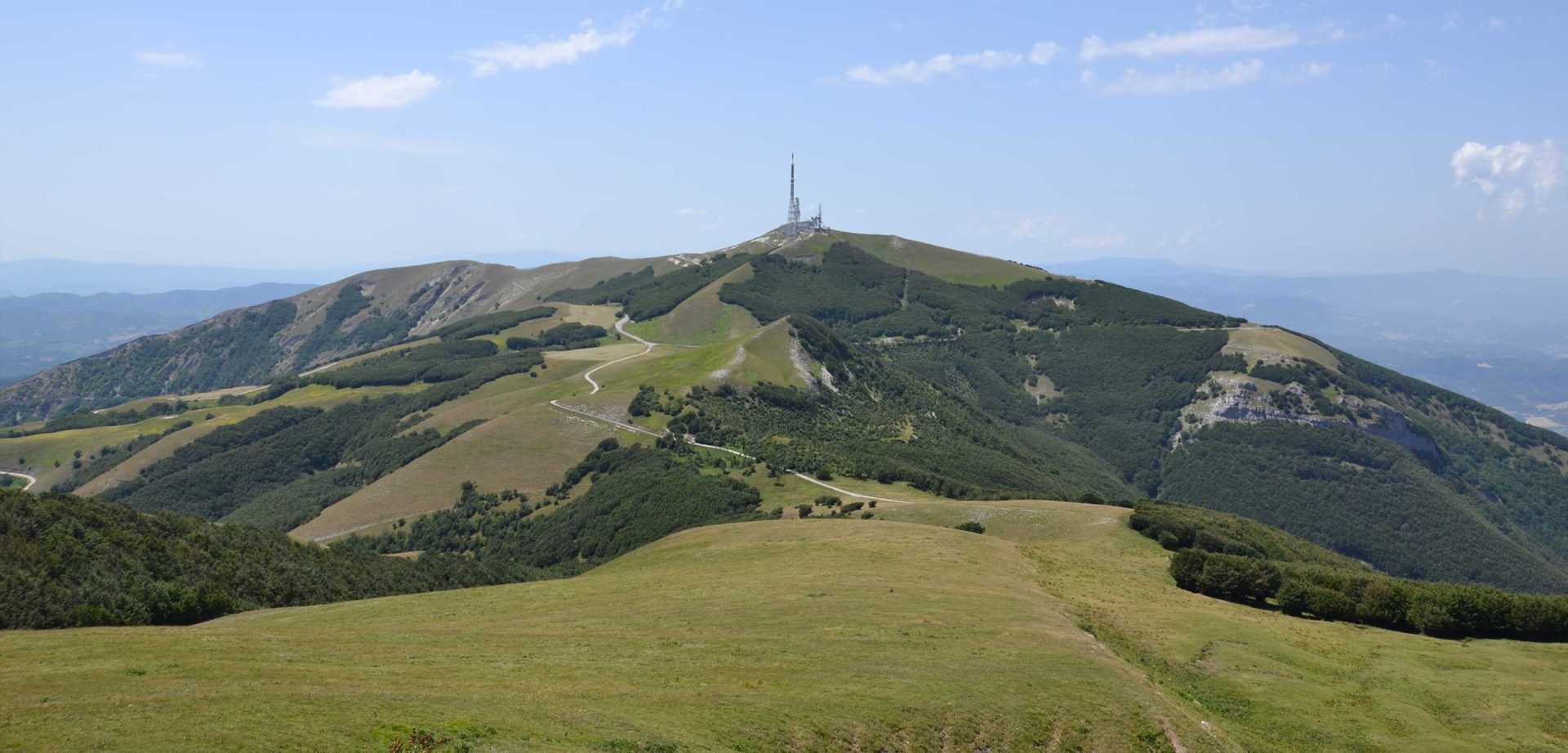 Monte Nerone – Viaggio nel tempo | Gruppo Umbro Mineralogico Paleontologico